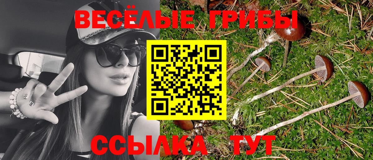 Галлюциногенные грибы Cubensis  Вход с VPN  купить   Галлюциногенные грибы Psilocybine cubensis  Калининград 